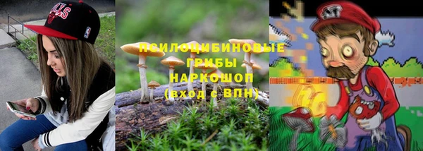 амф Алексин